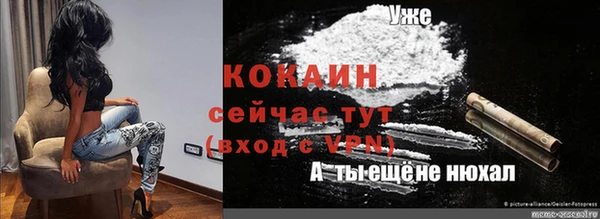 тгк Алзамай