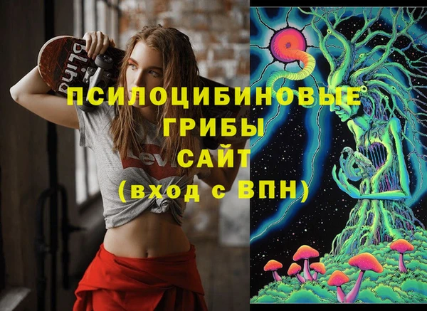 стафф Алексин
