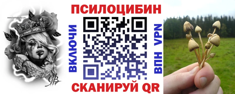 магазин    Устюжна  Псилоцибиновые грибы Psilocybine cubensis 