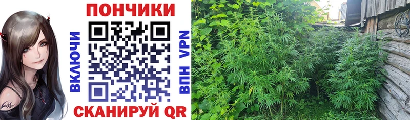 купить наркоту  Устюжна  Канабис SATIVA & INDICA 